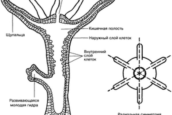 Ссылки для tor