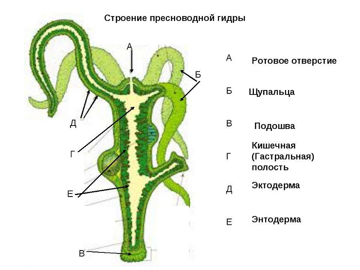 Kraken onion зеркало